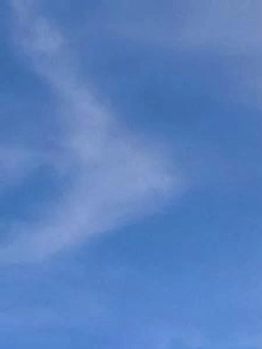 Roots & Rivers Naturopathic Medical Center Roots and Rivers Foundation. Gussak ND Family Foundation