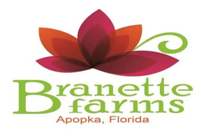 branettefarms.com
Apopka, Florida 32712
