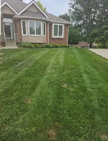 Lawn with long straight mowing lines from a fresh cut maintenance service.