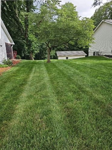 Lawn with long straight mowing lines from a fresh cut maintenance service.