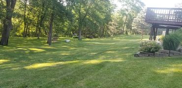 A shaded backyard after it has been cut and maintained.