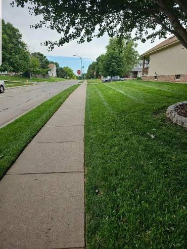 Lawn with long straight mowing lines from a fresh cut maintenance service.