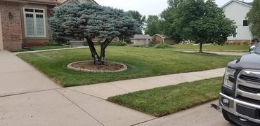 Freshly cut manicured lawn with clean mowing lines.