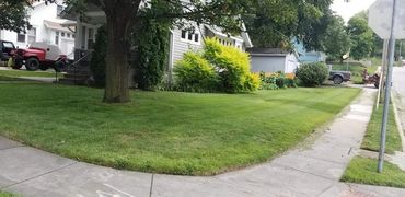 A freshly cut lawn with clean lines after maintenance.