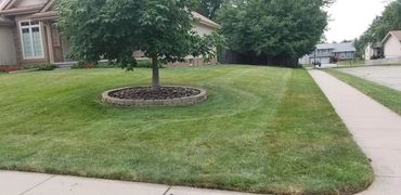 Corner lot house with a landscaping feature in front.
