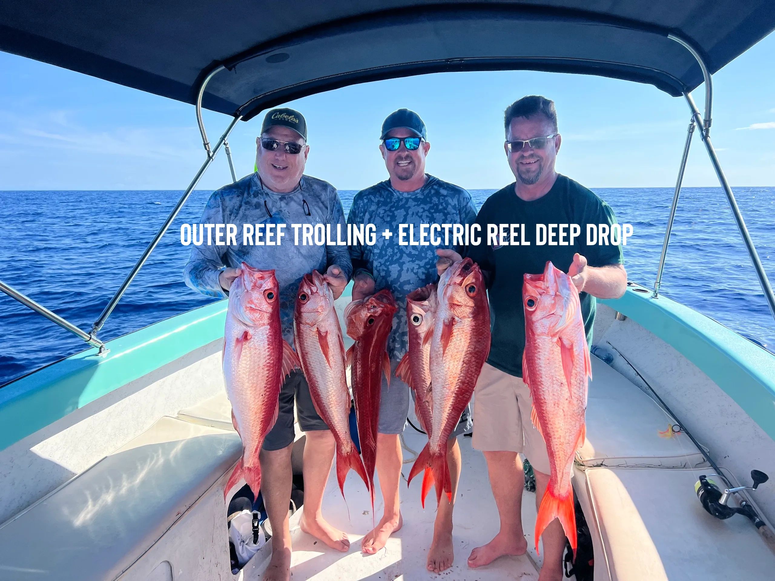 Electric Reel Deep Drop Fishing