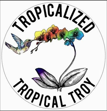 Orchids in many colors