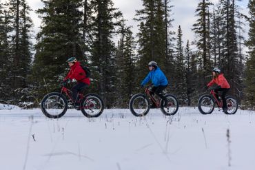 three friends fat bike on trails near edmonton journey bike guides jasper