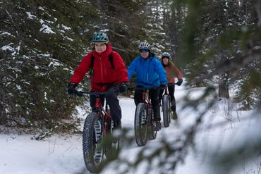 winter fun activity to do in jasper