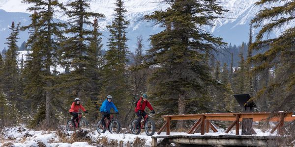 great way to explore jasper in winter with fat bikes and snow