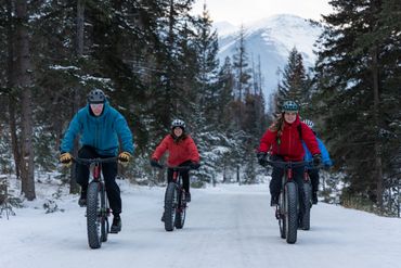 Rental fat bikes jasper