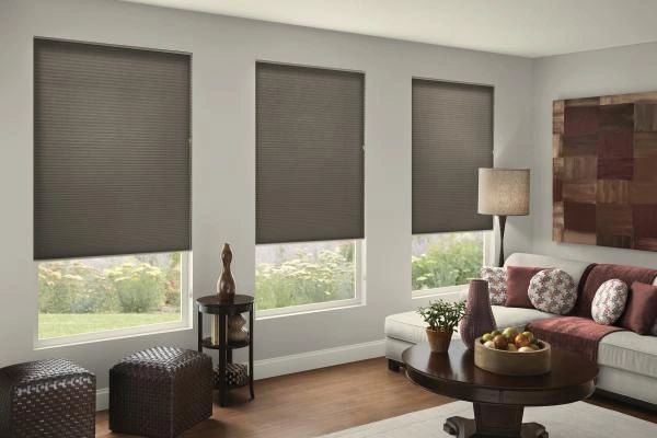 Light filtering honeycomb shade.