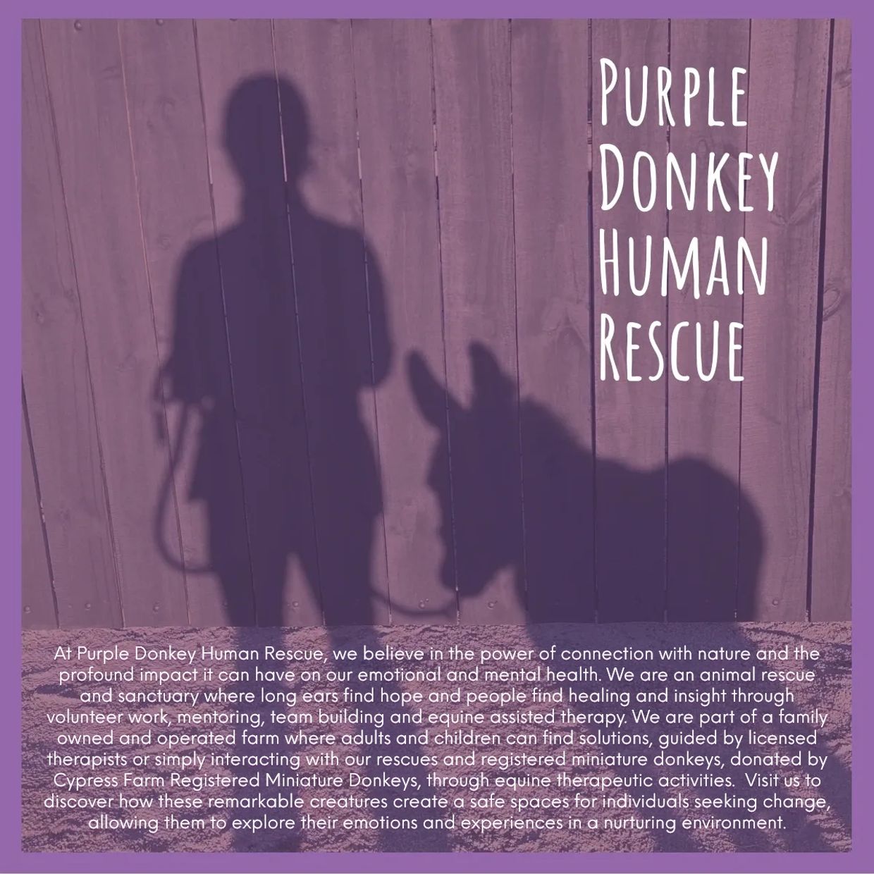 Purple Donkey Human Rescue