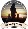 CountryCrest Labrador Retrievers