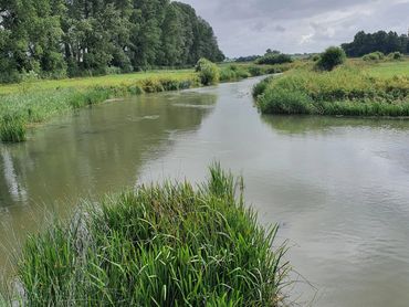 River Thames, Kelmscott, UK