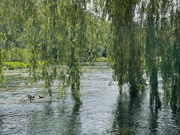 The River Test, Hampshire, UK