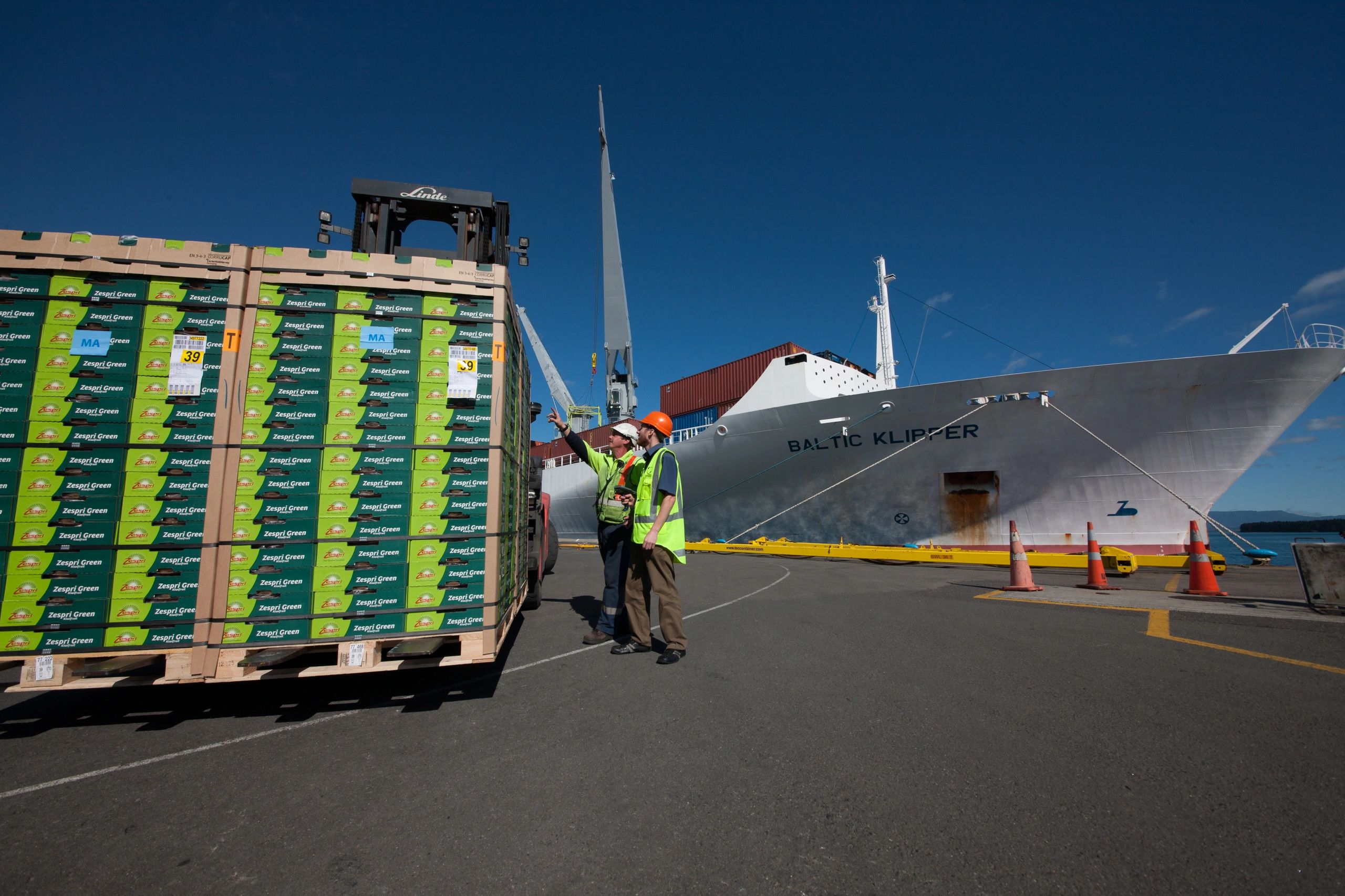 Loading pallets of Zespri kiwifruit, destined for export markets around the world