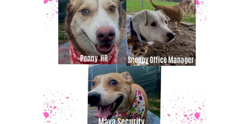 Pup Staff, Penny, Snoopy and Maya