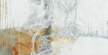 Dr. Megan Arney Johnston is a curator, writer, and educator who utilizes socially engaged practices.