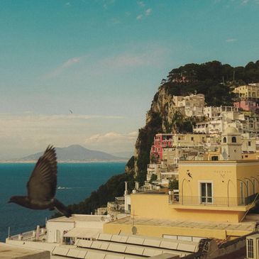 Veduta di un paese costiero con un uccello in volo.