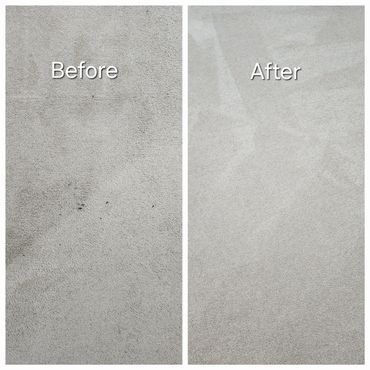 Eco-Friendly Green Carpet Cleaning near me in Duluth GA