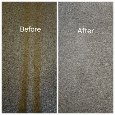 best professional carpet cleaning services near me Duluth GA