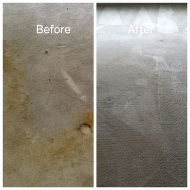 Duluth GA Carpet cleaning effective remove pet stain , urine and allergen reduction