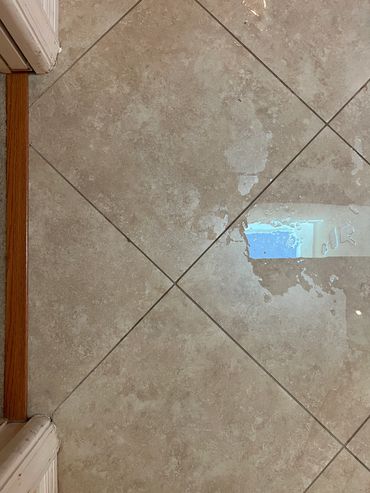Professional Grout cleaning Coastal grout Experts in Sarasota FL