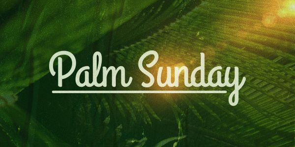 Text reading 'Palm Sunday' over a background of palm leaves and sunlight.