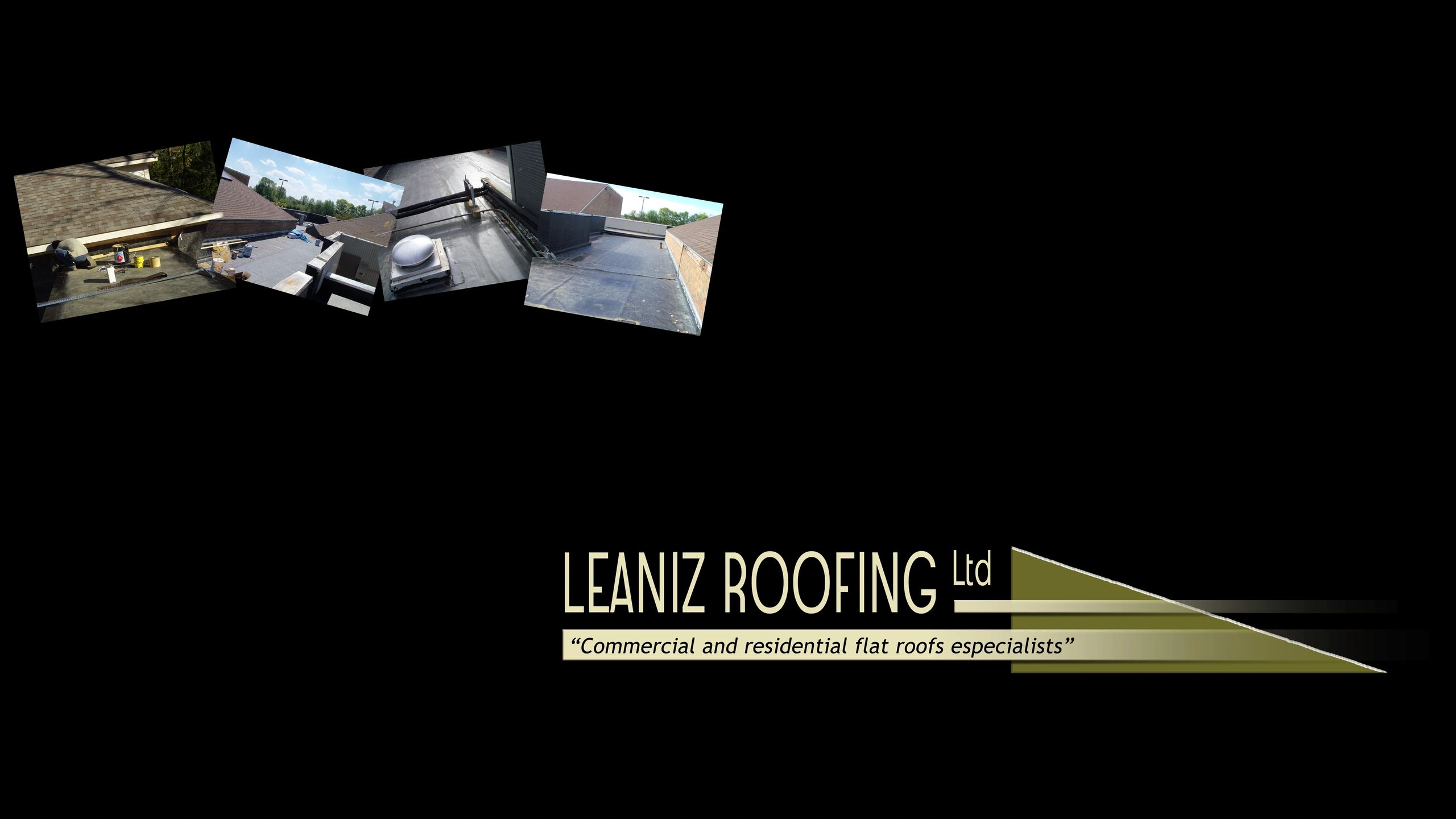 Leaniz Roofing Ltd