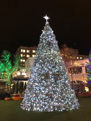 Large Christmas tree with white lights and silver ornaments at night.