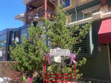 A decorative bench with a Park City sign and flowers in a sunny village setting.