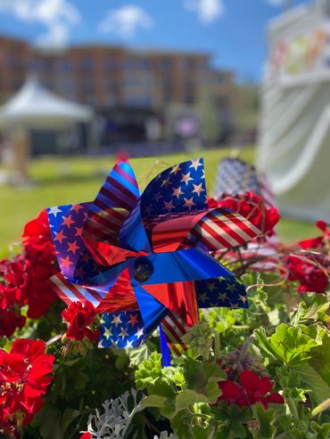 Red, white, and blue pinwheel with stars and stripes among vibrant red flowers.