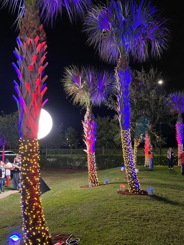 Palm trees decorated with lights and colorful uplighting at a nighttime outdoor event.