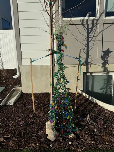 A small outdoor Christmas tree frame with colorful lights and a star topper.