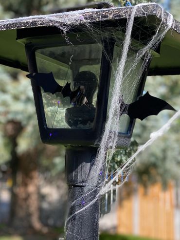 Outdoor lamp post decorated with fake spider webs and bat cutouts for Halloween.