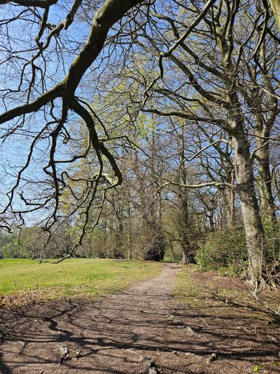 Walking therapy in Stockport. Walk and talk therapy. Outdoor Counselling