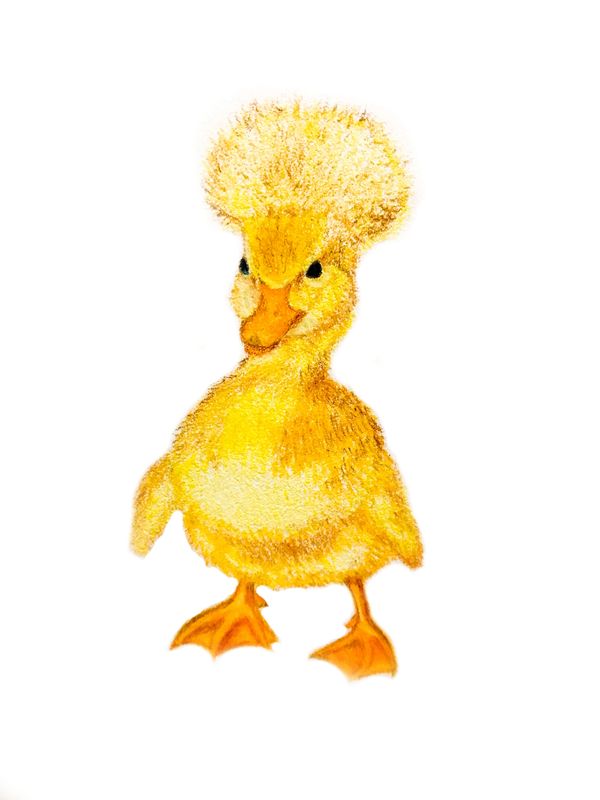Duck with Afro