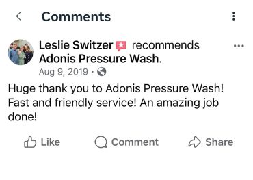 Positive review praising Adonis Pressure Wash for fast and friendly service.