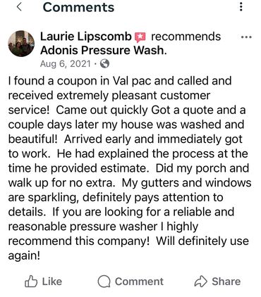 Positive customer review praising Adonis Pressure Wash for excellent service and attention to detail.
