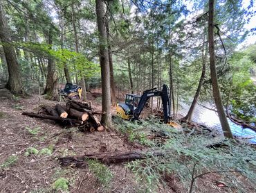 Cleaning up a shoreline of a customers lake front property.
