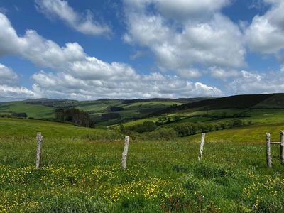 Camino de Santiago, view of farmland and the sky with white puffy clouds