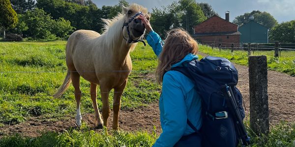 Camino de Santiago, Camino del Norte. Kate petting a horse along the trail.