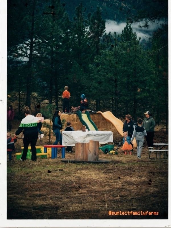 Children playing on slides in a forested area with adults nearby.