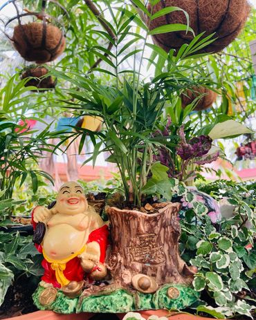 Happy Budhha PLanter