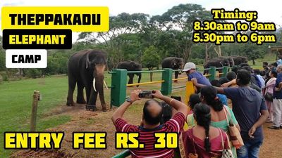 Mudumalai Tiger Reserve entrance