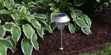 A daylight photo of a Shade Solar Light located in a shaded garden.