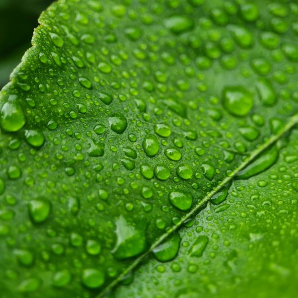 Specialists in Risk Assessment, Waste Minimization, and Regulatory Auditing