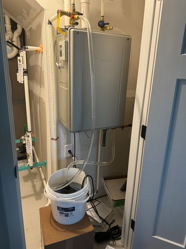 Tankless water heater flush