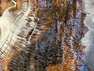 Intricate ice patterns form on a reflective water surface with autumn foliage.
